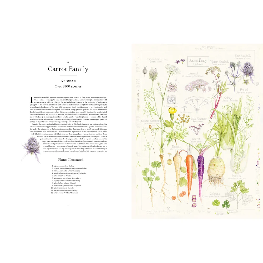 The Album of Plant Families: An Illustrated Exploration of Nature's Beauty and Bounty - Image 4