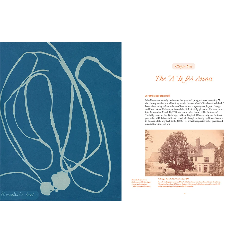 Anna Atkins: Photographer, Naturalist, Innovator - Image 3