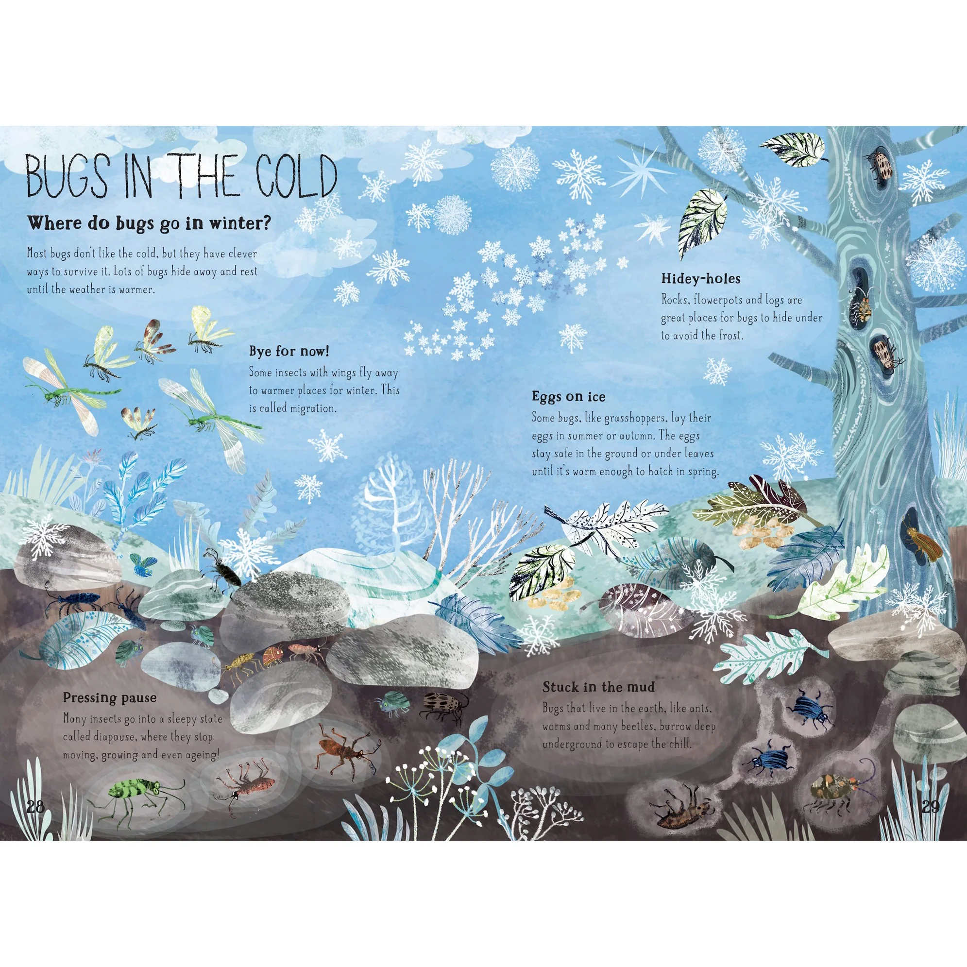 The Big Book of Bugs: 10th Anniversary Edition - Image 4