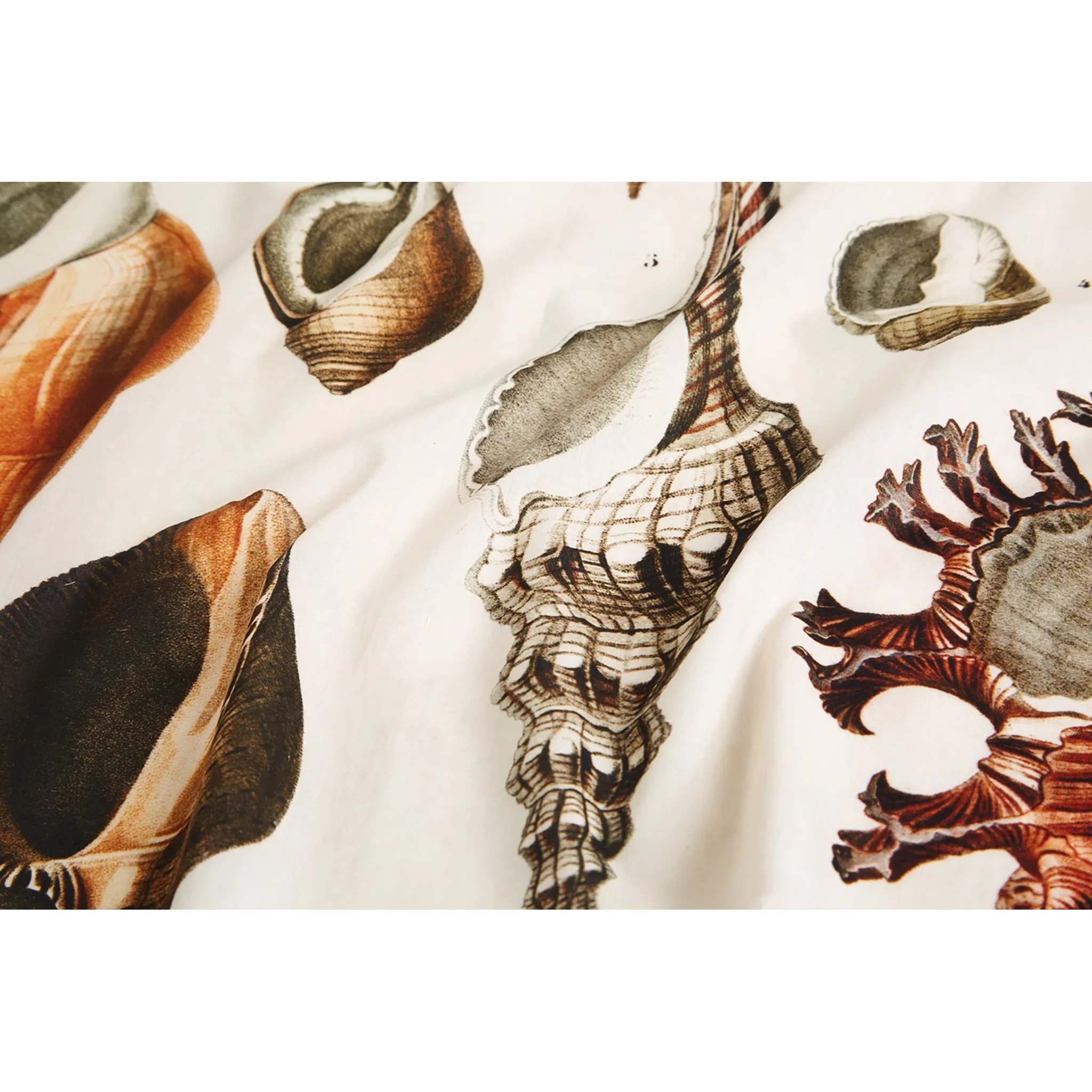 Seashells Voile Bandana - Image 3