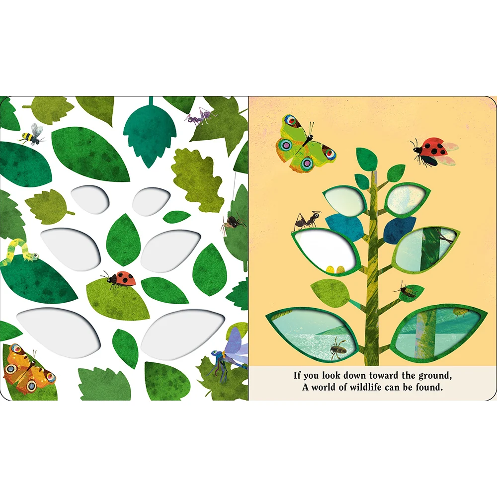 Bugs: A Peek-Through Board Book - Image 3