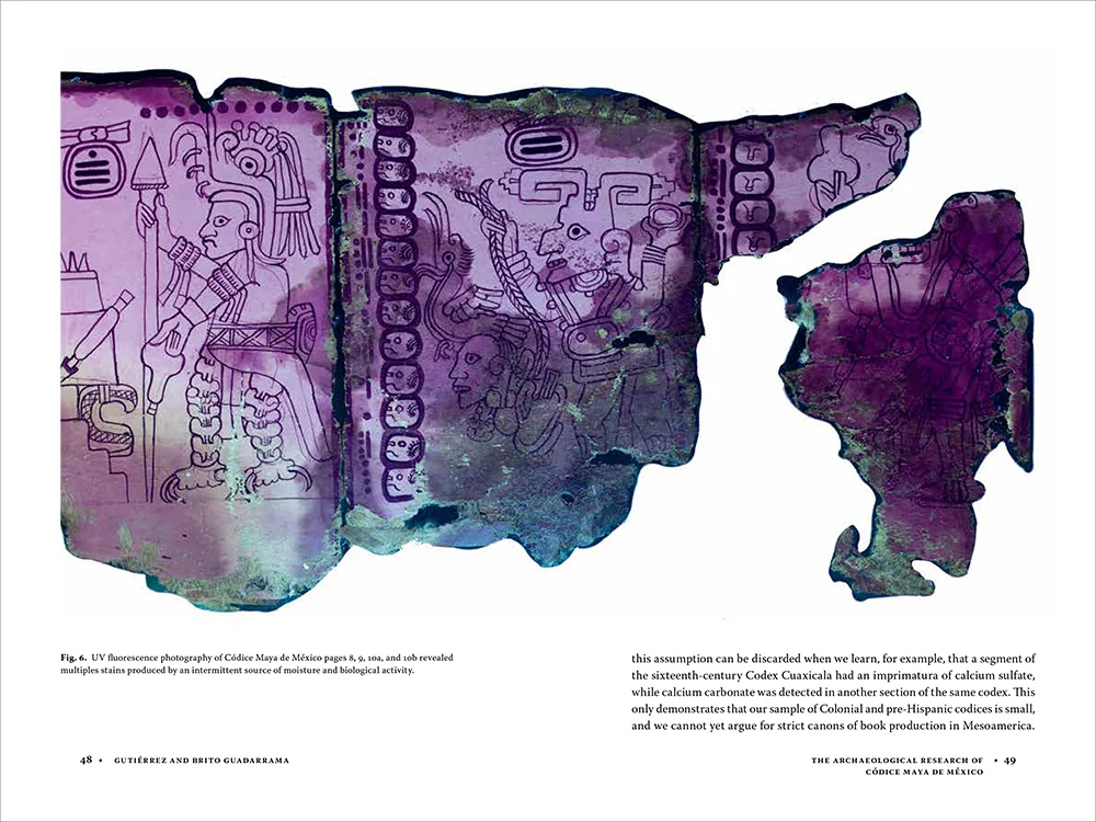 Códice Maya de México: Understanding the Oldest Surviving Book of the Americas - Image 5