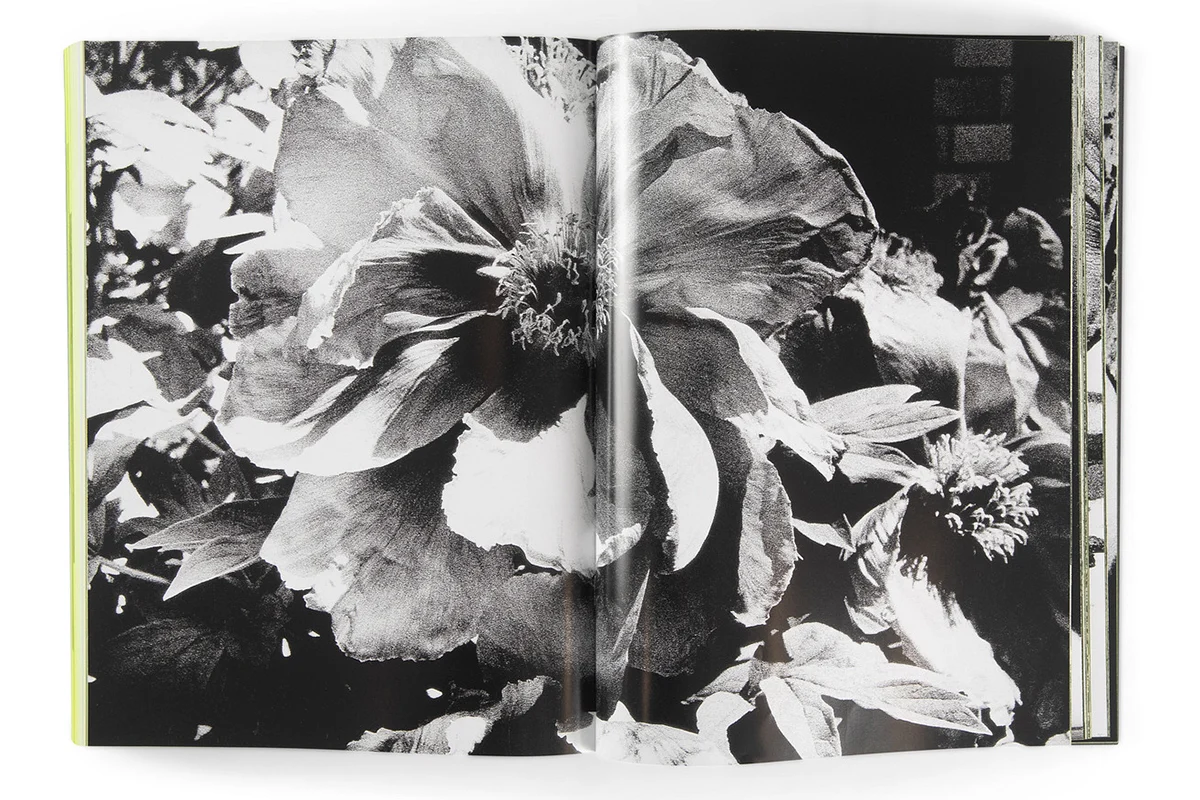 Daido Moriyama: Quartet - Image 2