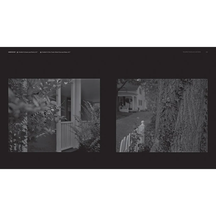 Dawoud Bey & Carrie Mae Weems: In Dialogue - Image 4