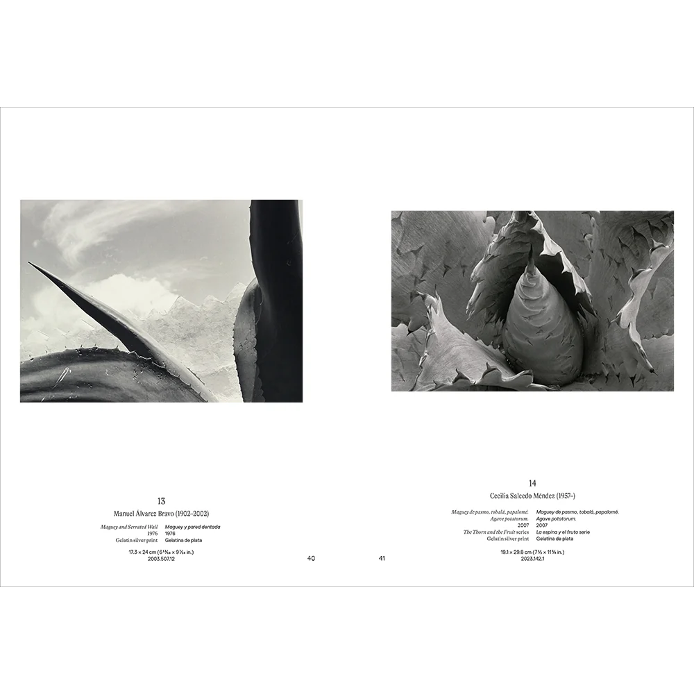 Instante/revelación: Moments in Mexican Photography - Image 5