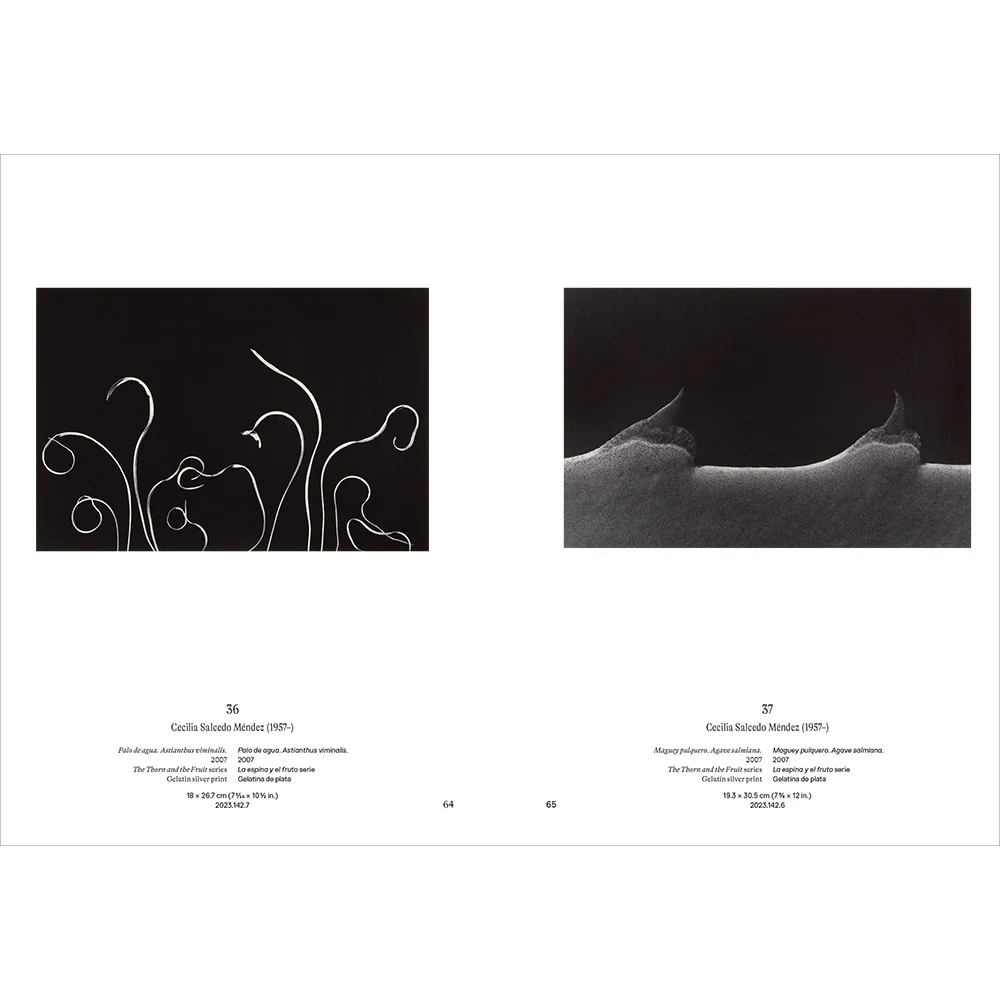 Instante/revelación: Moments in Mexican Photography - Image 7