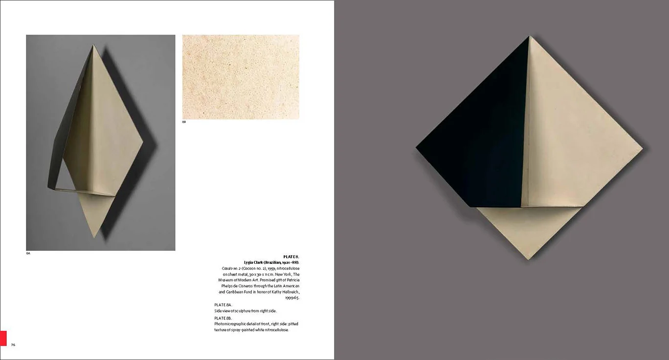 Making Art Concrete: Works from Argentina and Brazil in the Colección Patricia Phelps de Cisneros - Image 2
