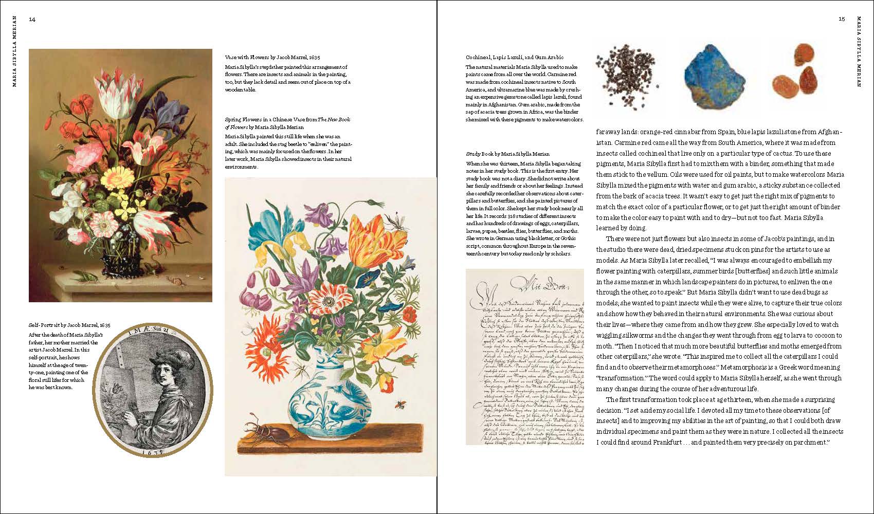 Maria Sibylla Merian: Artist, Scientist, Adventurer - Image 3