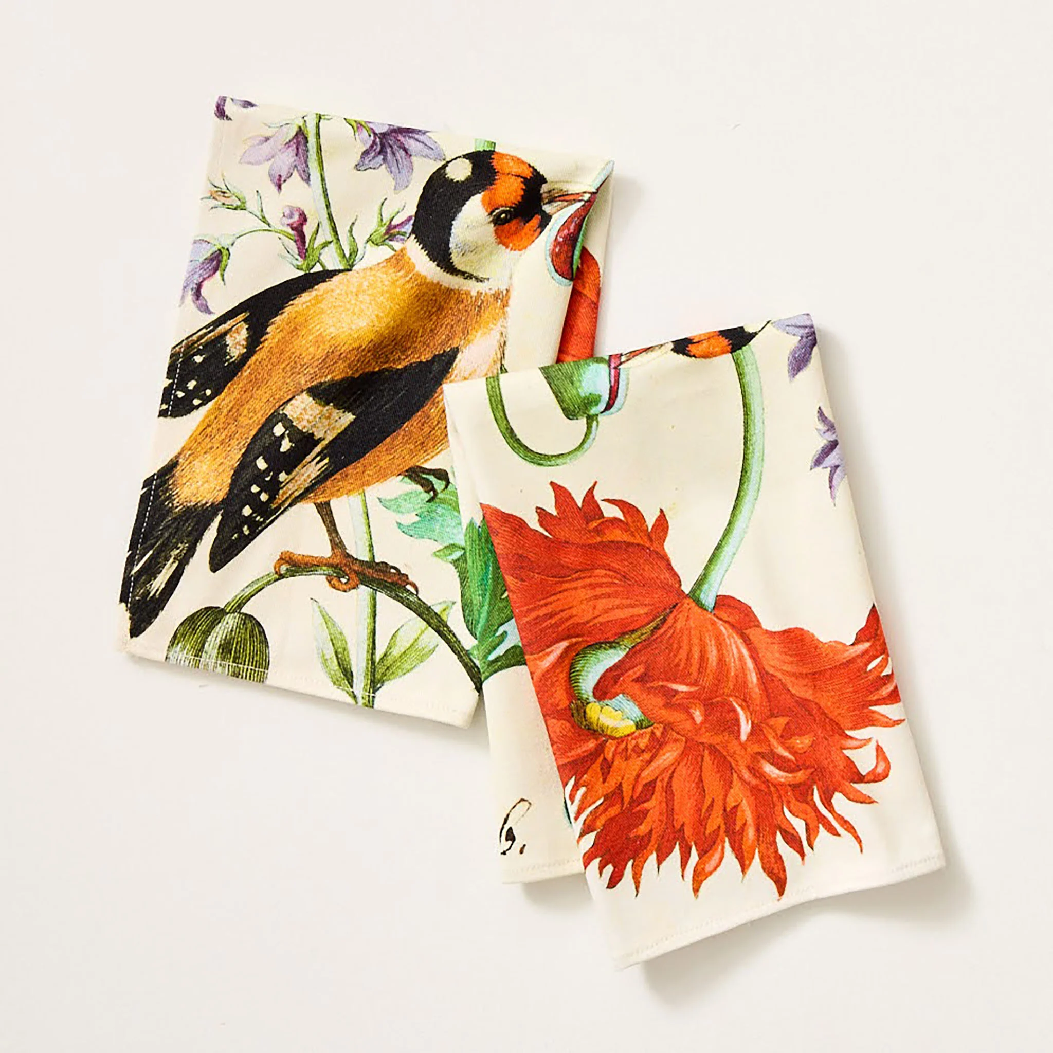 Maria Sibylla Merian Tea Towel - Image 3