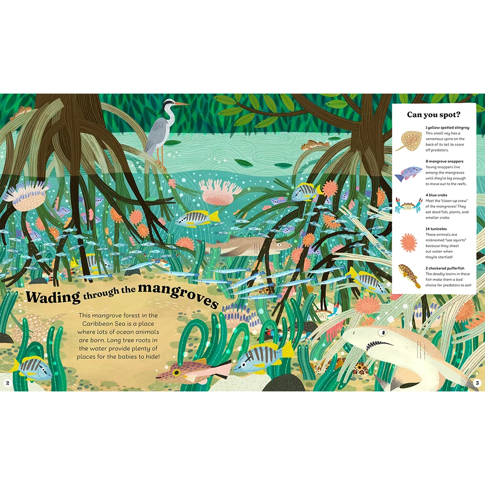 Ocean Explorer: A Search-and-Find Book - Image 2