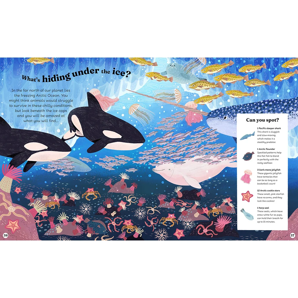 Ocean Explorer: A Search-and-Find Book - Image 3
