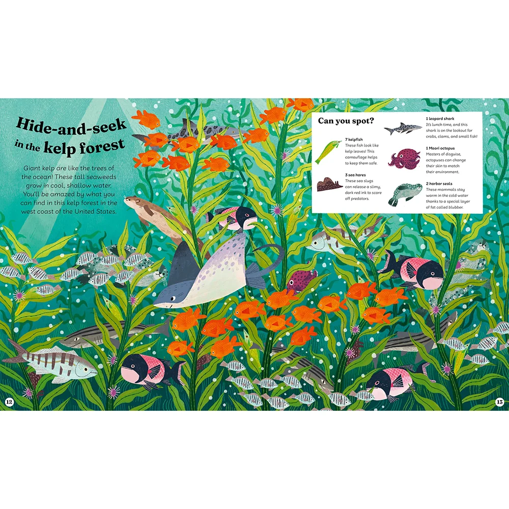 Ocean Explorer: A Search-and-Find Book - Image 4