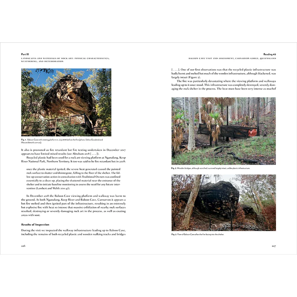 Rock Art: The Changing Landscape of Conservation and Management - Image 12