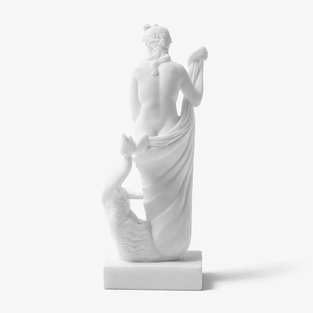 Venus - Reproduction - Image 3